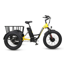  Sobowo Model N3-F Front Drive Motor Fat Tire Electric Tricycle for Sale