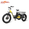  Sobowo Model N3-F Cheap Front Drive Motor Fat Tire Electric Tricycle for Sale