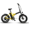 High Quality 20 Inch Hub Motor Folding Electric Bike for Sale