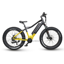 Powerful Bafang Mid Drive Motor Fat Tire Electric Bike for Sale