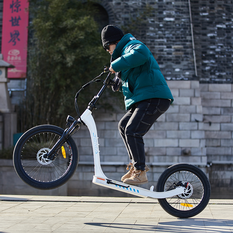 Shell Foot Bike 20 inch big wheel electric foot bike scooter Compy - Sobowo