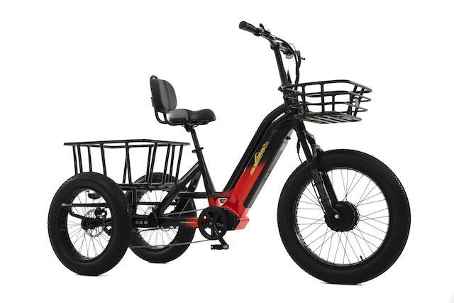 7 Speed Transmission 750W Fat Electric Tricycle WN01 - Sobowo