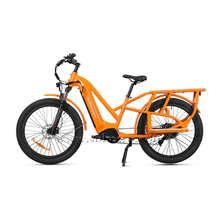 Best Electric Cargo Bike 2023 Model C19-3 - Sobowo