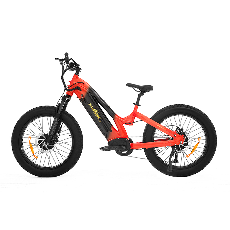 Compact and Powerful Options 24-Inch Fat Tire Electric Bikes for Short Riders TwinTread - Sobowo
